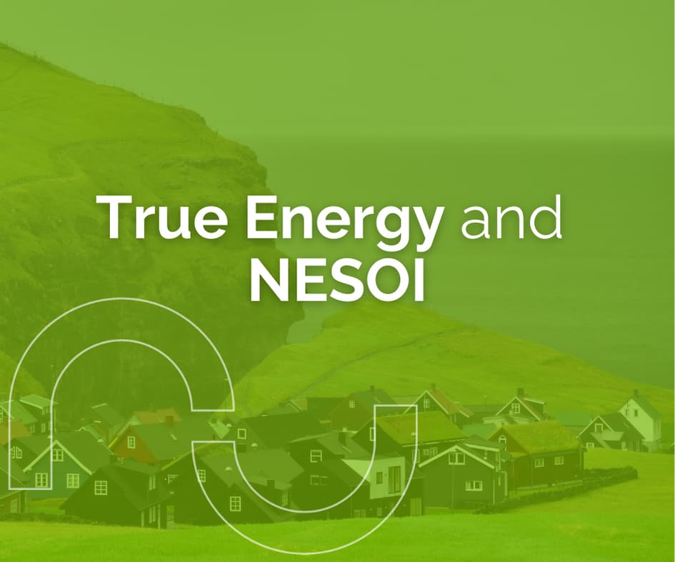 True Energy is joining NESOI illustated by image of an island.