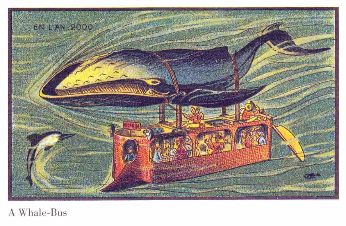 An image of a whale bus