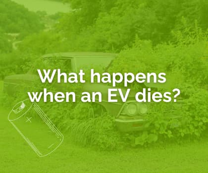 EV covered in vegetation.