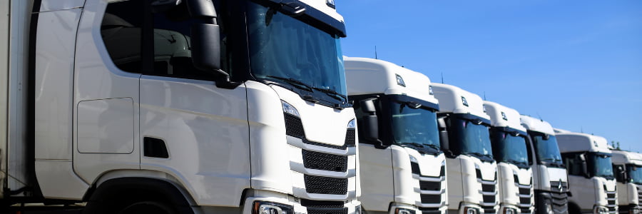 A row of electric trucks