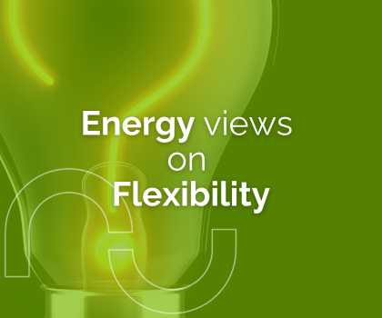 Energy professionals views on energy flexiblity