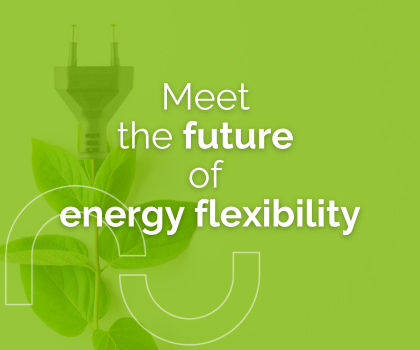 Trends defining the future of energy flexibility front image